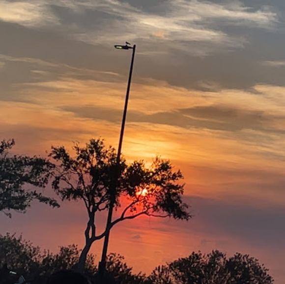 Meet your Posher, Camery - Picture 1 of 1